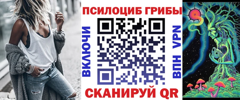 Псилоцибиновые грибы Psilocybe  Тутаев 